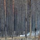 Meldungsliste_45__7.jpg