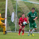 file71m086cecko7taw3fn7.jpg