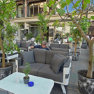 002_POP UP garden.JPG