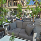 003_POP UP garden.JPG