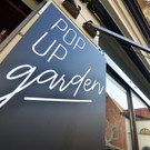 005_POP UP garden.JPG