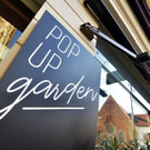 006_POP UP garden.JPG