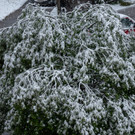 20180826_fmt_WintereinbruchBadGastein_pp1.jpg