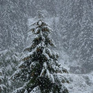20180826_fmt_WintereinbruchBadGastein_pp2.jpg
