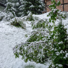 20180826_fmt_WintereinbruchBadGastein_pp6.jpg