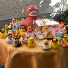 DSC_0409.JPG