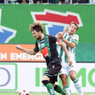 ABD0074-20180826.jpg