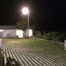 IMG_8430.JPG