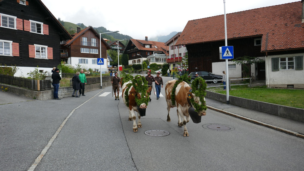 P1060017.JPG