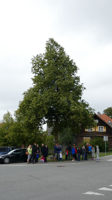 P1060009.JPG