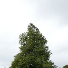 P1060009.JPG