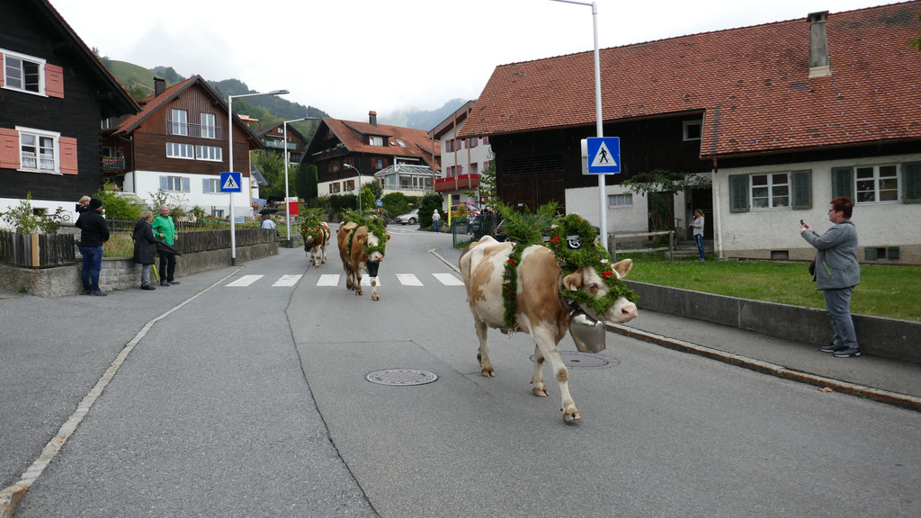 P1060015.JPG
