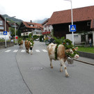 P1060015.JPG