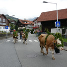 P1060016.JPG