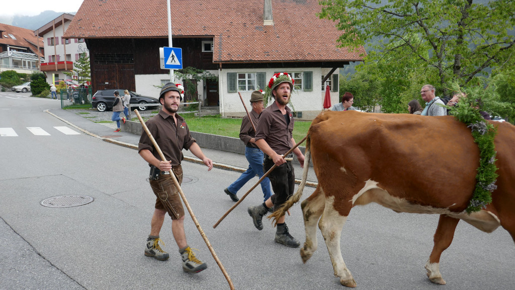 P1060019.JPG