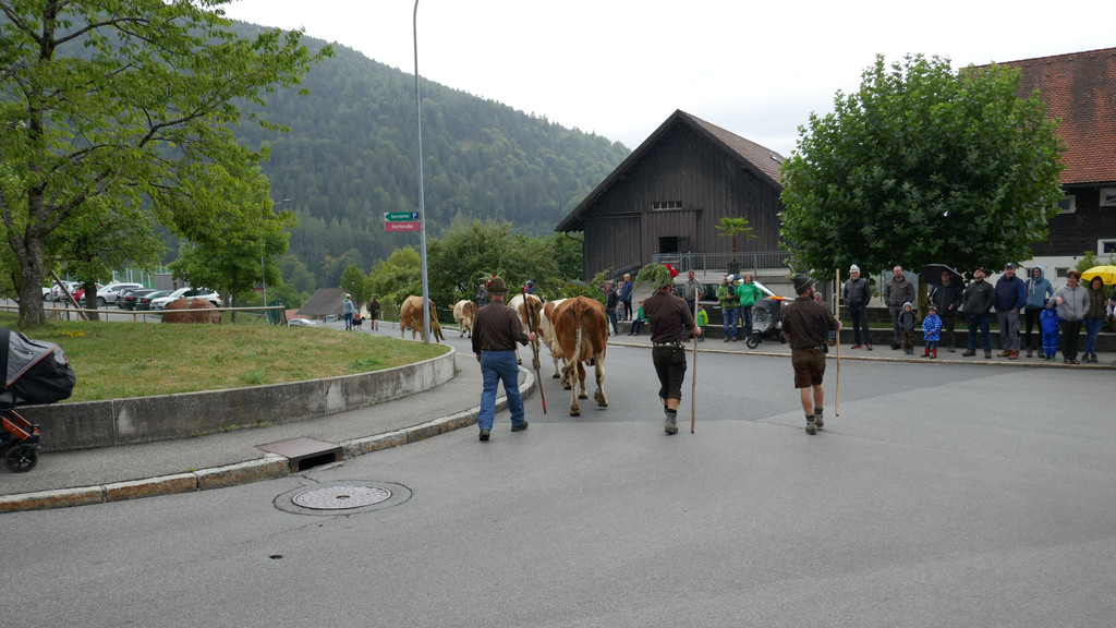 P1060020.JPG