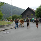 P1060020.JPG