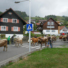 P1060026.JPG