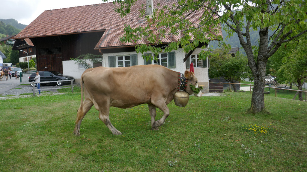 P1060031.JPG