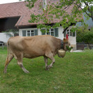 P1060031.JPG