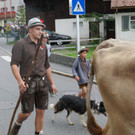 P1060035.JPG