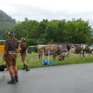 P1060037.JPG