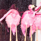 Fashion Show Party 18 - Luxuspuppe_at - 24_08_2018 _81 von 155_.jpg