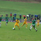 DSC04232.JPG