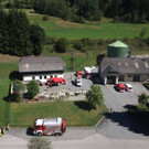 Bilder der Suche