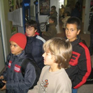 1235354.jpg