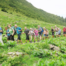 Wanderung vom Seniorenbund zum Kaltenberg