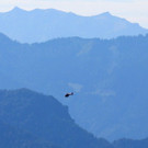 EV6A8100.jpg