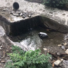IMG-20180827-WA0013.jpg