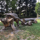 IMG-20180827-WA0011.jpg