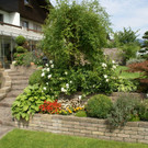 Hard Beneder G DSC01851.JPG