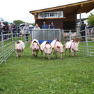 IMG_8975.JPG