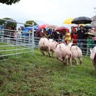 IMG_8982.JPG