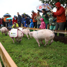 IMG_8998.JPG