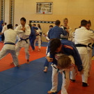 Judokas mit Feinschliff