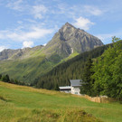 IMG_4903.JPG