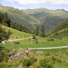 IMG_4916.JPG