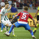 Steaua Bukarest gegen Rapid Wien EL-Play-Off