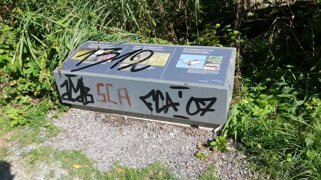 rhein_Informationss__ulen-min.jpg