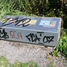 Neues am Alten Rhein