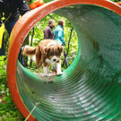 201800901fmt_wildsaudirtrun_ta_054.JPG