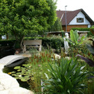 Hard Wild G DSC01817.JPG