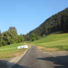 Fellengatter bis Amerlügen