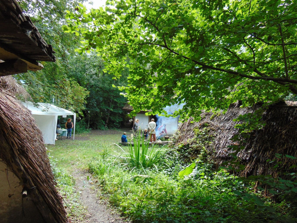 DSC07810.JPG