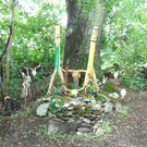 DSC07811.JPG