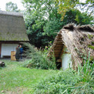 DSC07816.JPG